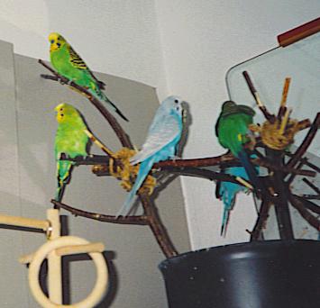 Meine ganze Familie