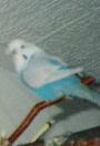 Sweety 2 auch so sss