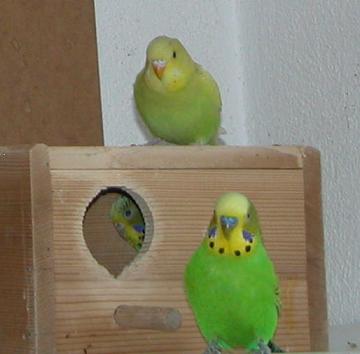 Was gibt's da drin zu gucken?