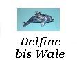 Delfine