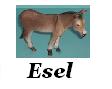 Esel