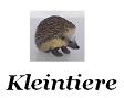 Kleintiere Eichhrnchen etc.