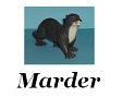 Mardertiere