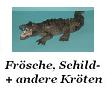 Frsche, Schildkrten