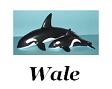 Wale