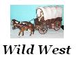 Wilder Westen