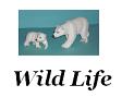 Wildtiere aller Kontinente