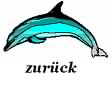 Rücksprung