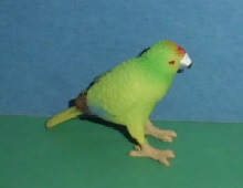 Kakariki