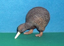 Kiwi