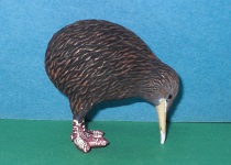 Kiwi