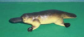 Schnabeltier