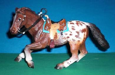 Appaloosa Hengst