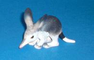 Bilby