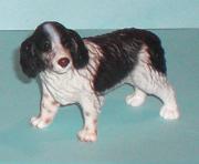 Cocker Spaniel