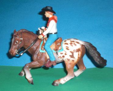 Cowgirl auf Pferd