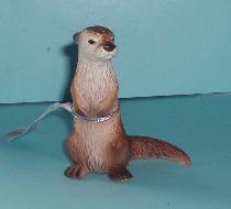Fischotter