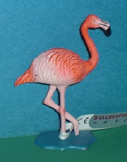 rosa Flamingo