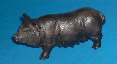 Hängebauchschwein