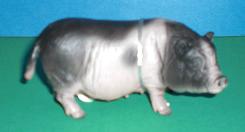 Hängebauchschwein Sau