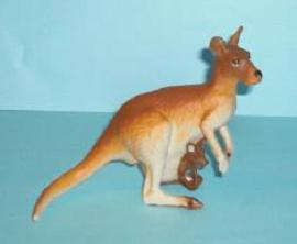 Känguruh mit Baby