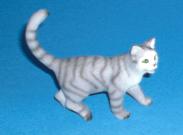 Kartäuserkatze