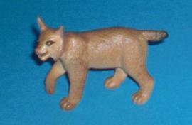 Luchs