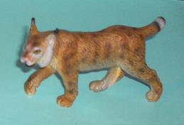 Luchs