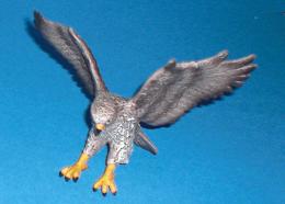 Mäusebussard