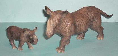 Spitzmaulnashorn