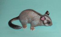 Opossum