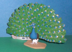 Pfau