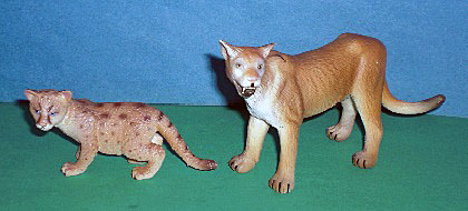 Puma mit Baby
