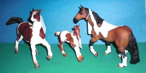 Quarter Horse Familie