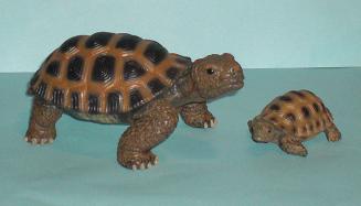 Riesenschildkröte und Baby
