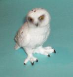 Schneeeule