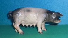 Hällische Mamasau
