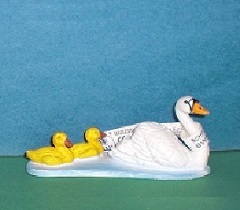 Hcker-Schwan mit Babys