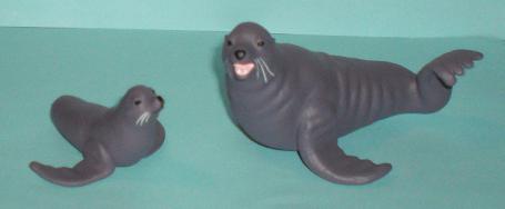 Seebär und Baby