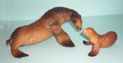 Seelöwenkuh und Kalb