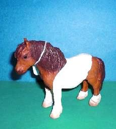 Shetland Pony Stute 