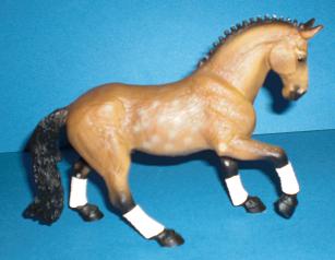 Trakehner Hengst