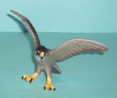 Falke