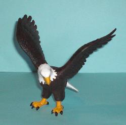 Weisskopfseeadler