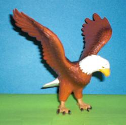 Weisskopfseeadler