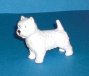 West Highland Terrier