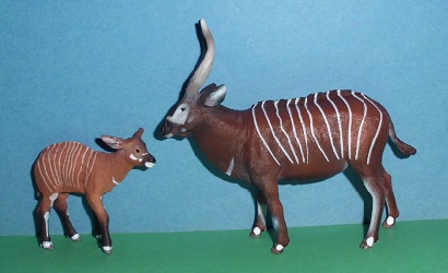Bongo Bock und Kalb