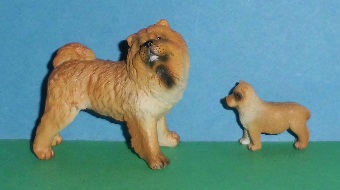 Chow Chow und Welpe