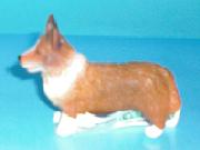 Welsh Corgi