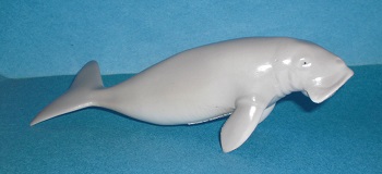 Dugong Gabelschwanzseekuh